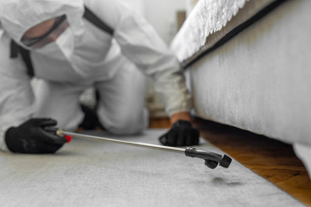 Professional Termite Control technician working in Katy, TX