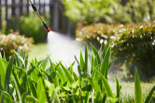 24/7 Emergency Termite Control experts in Katy, TX