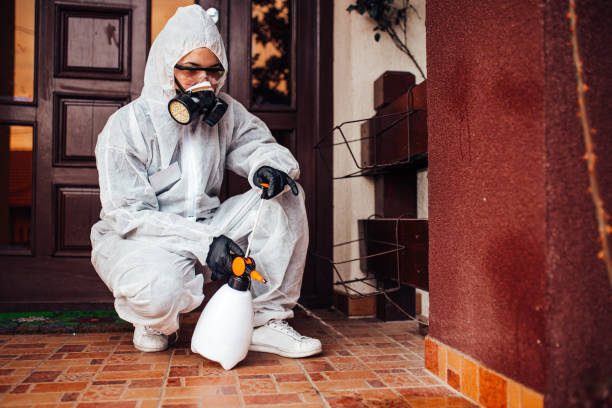 Reliable Termite Control contractor in Katy, TX by Nex Pest Control